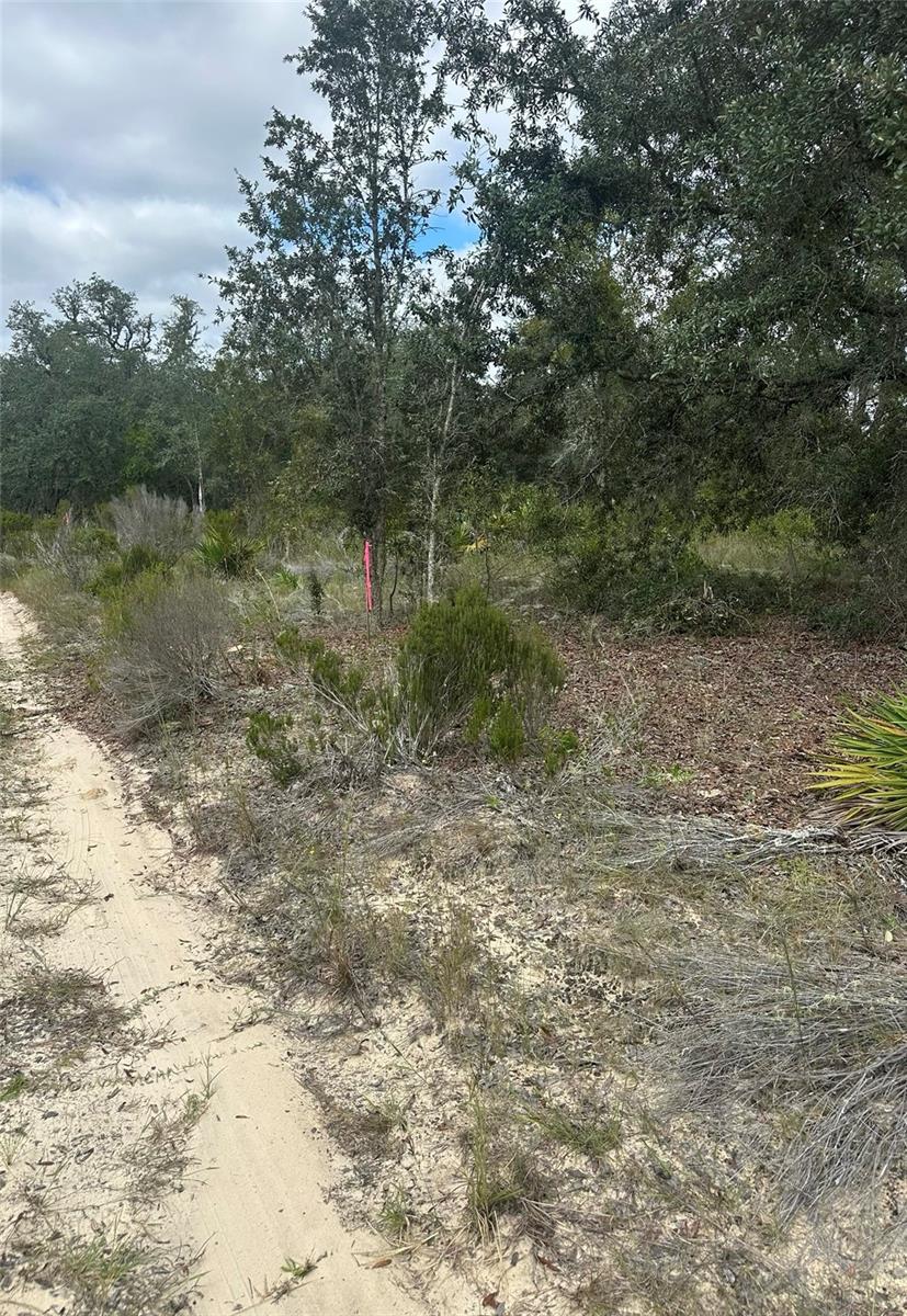 OAK RIDGE ESTATES - Land