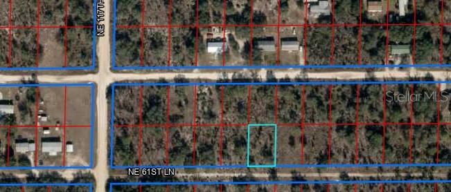 Owner Financing Available with $999.00 down. Excellent 0.23-acre lot is available for future investment or to put a mobile, tiny, prefabricated, container, or regular home. The lot is 40 minutes from Ocala and very close to the World Equestrian Center. Just 6 minutes to Williston and 25 minutes to Gainesville. Lot measures about 80' wide on the front and 125' deep. No HOA and no time limits to build. Zoned Rural Residential, this lot is also very close to the Gothe State Forest and very close to the 27 ALT highway for quick access to shopping and the towns nearby. You will be close to Ocala, Gainesville, Dunnellon, Williston, Chiefland, and Bronson. A second lot is available, you can have two beautiful lots side by side, for a total of 0.46 acres.