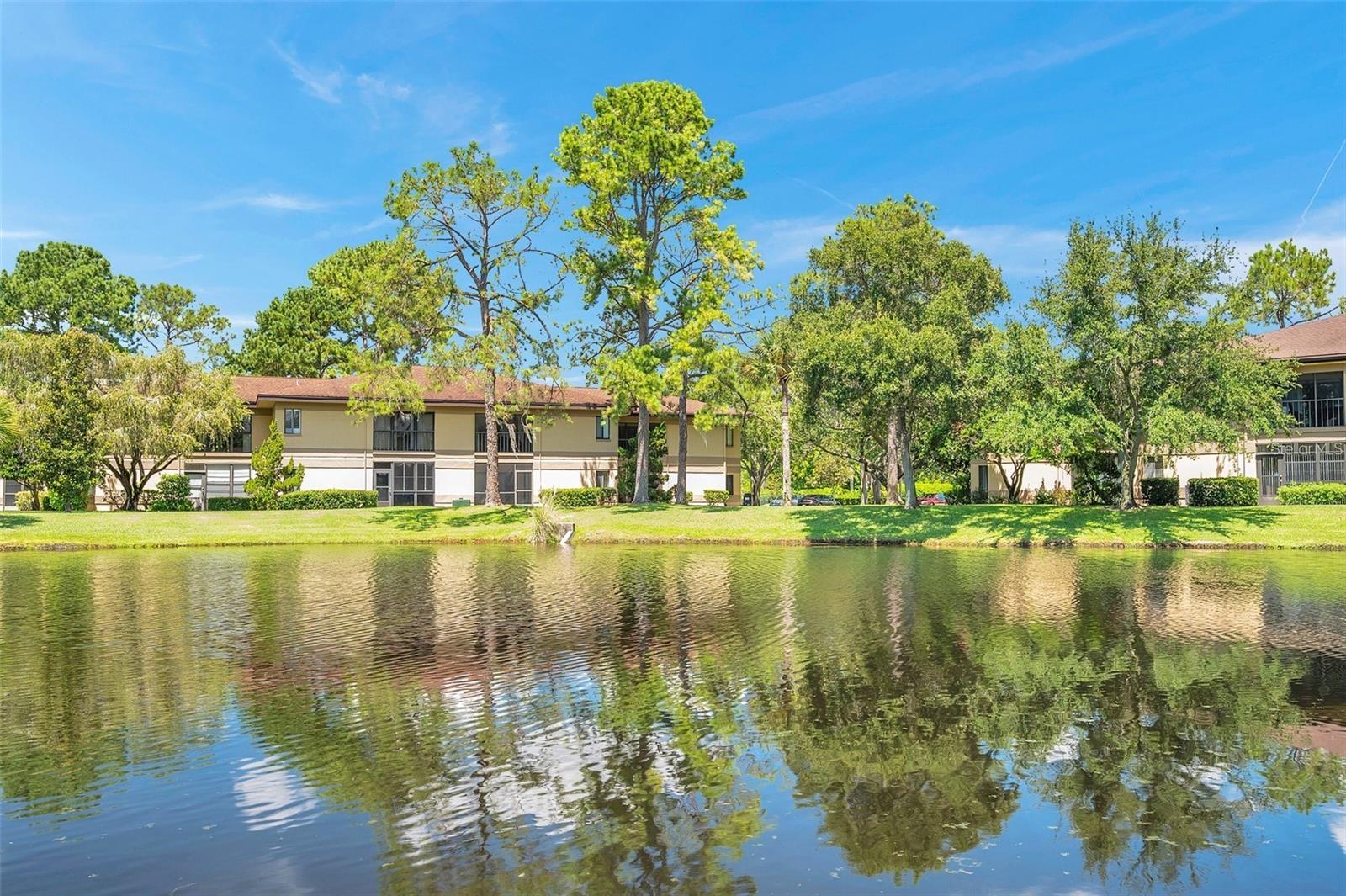 MISTY SPRINGS - Residential Lease