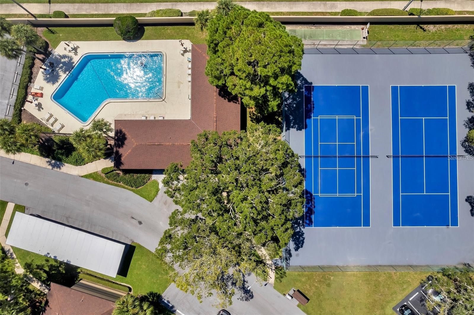 MISTY SPRINGS - Residential Lease