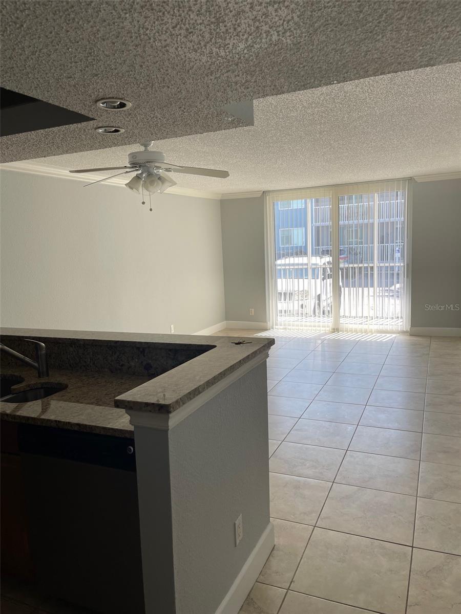 SARASOTA PALMS - Residential