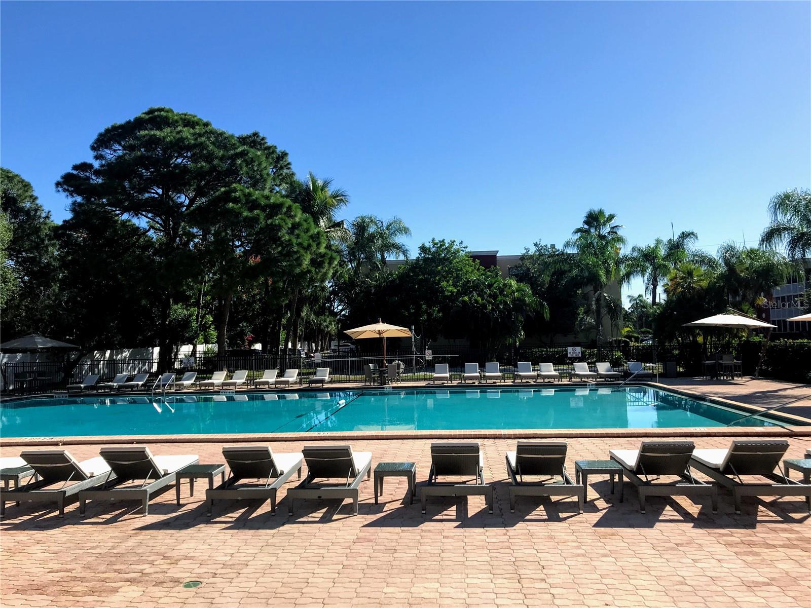 SARASOTA PALMS - Residential