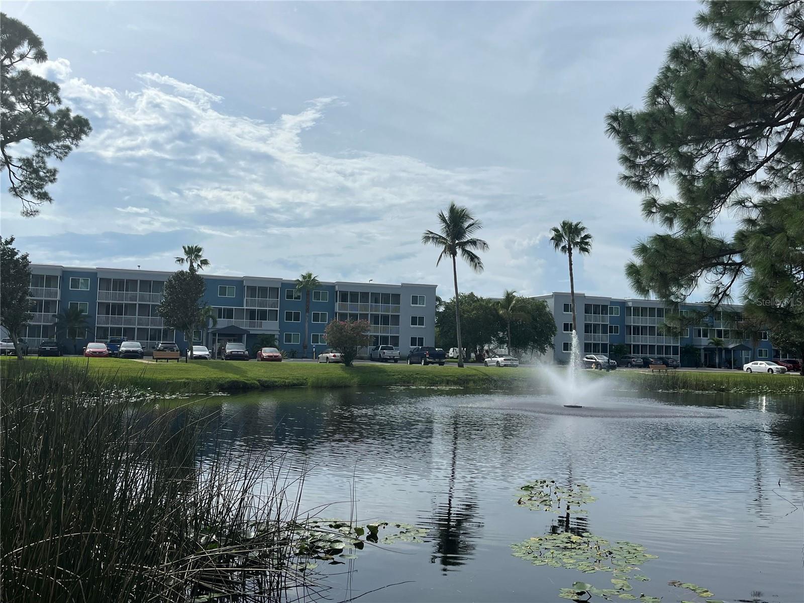 SARASOTA PALMS - Residential