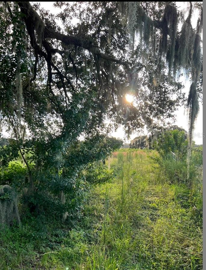 13029 S COUNTY ROAD 39