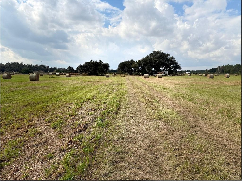 Photo of 13029 S County Road 39, Lithia, FL 33547 (MLS # TB8470802)