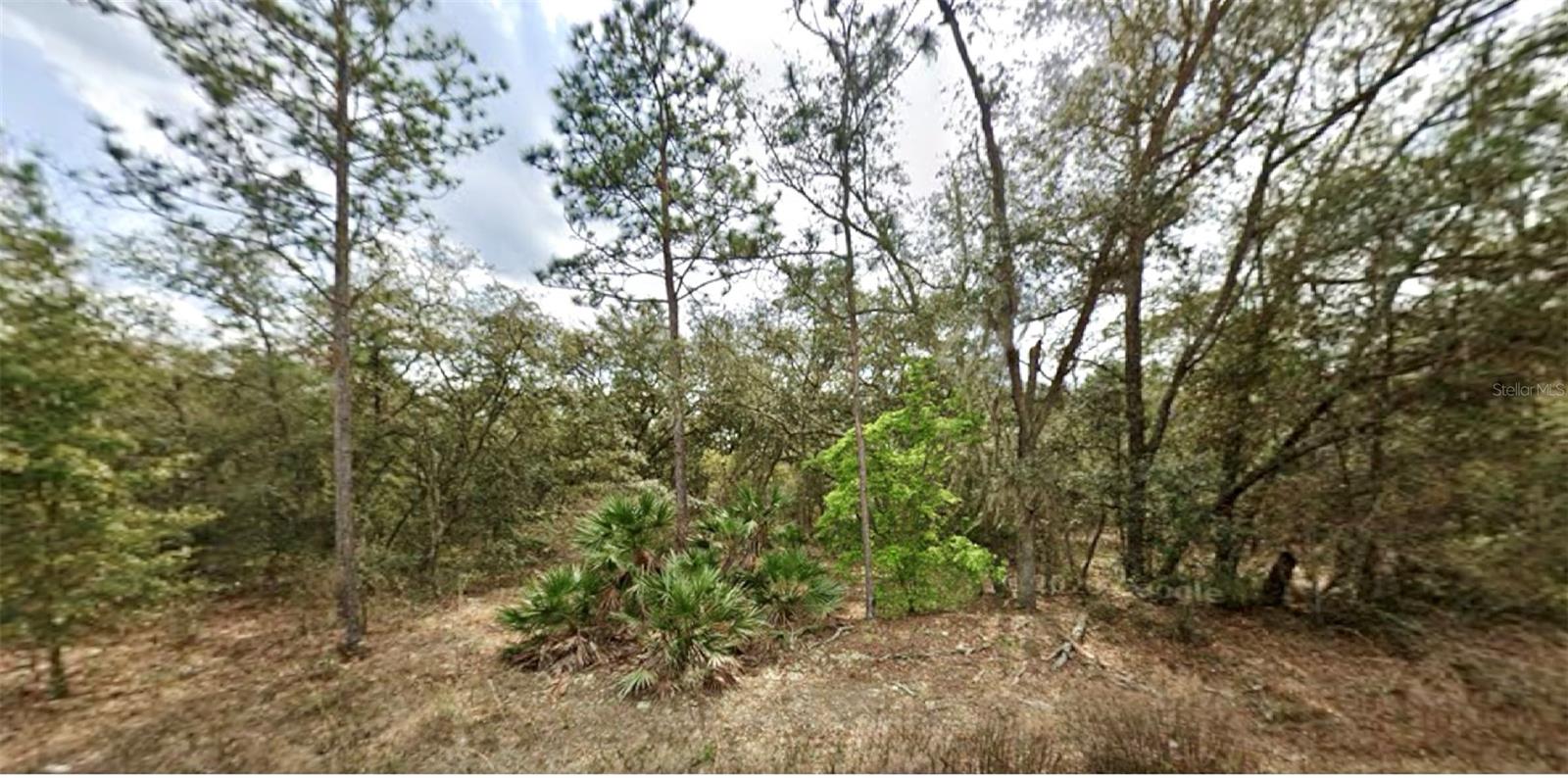 Incredible opportunity to own land in the growing community of Interlachen Estates! Whether you’re looking to build your dream home or invest in Florida real estate, this lot offers the perfect canvas. Nestled in a peaceful, natural setting, this area provides the privacy and serenity of rural living while still being close to local lakes, parks, and amenities. With no HOA and flexible building options, you have the freedom to bring your vision to life. Don’t miss your chance to secure a piece of Florida paradise in this up-and-coming neighborhood!