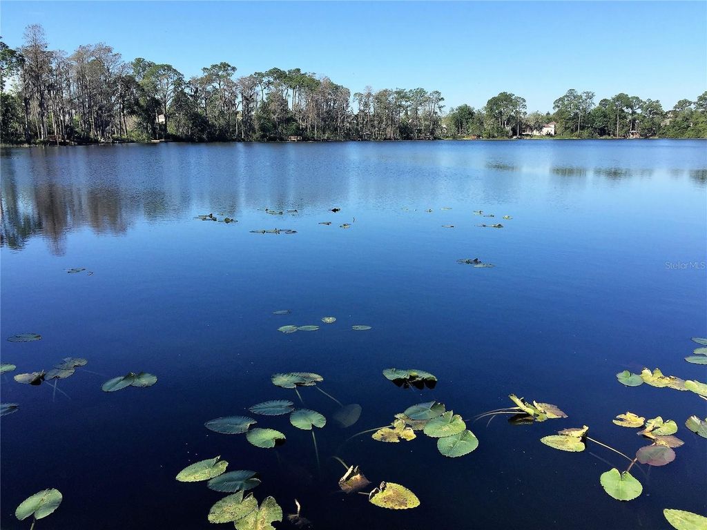 Photo of 10040 Crystalline Court, Orlando, FL 32836 (MLS # O6386505)