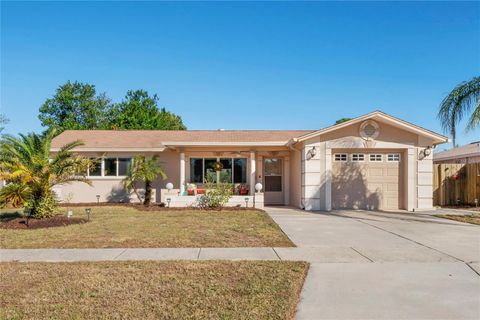 A home in NEW PORT RICHEY