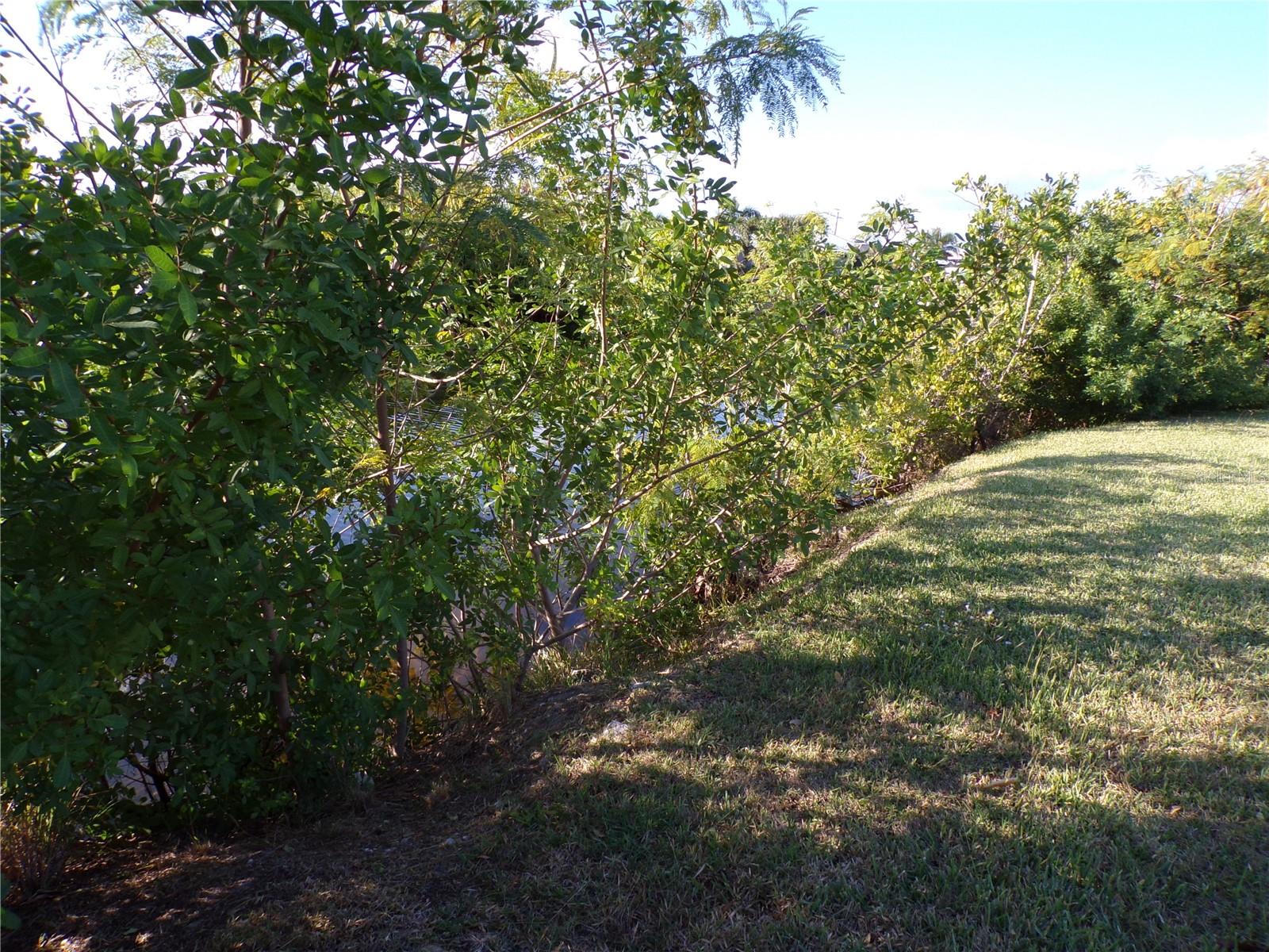 PELICAN POINTE 1ST ADD - Land