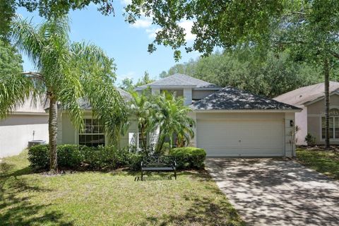 Photo of 13405 Fawn Springs Drive, Tampa, FL 33626 (MLS # O6386382)