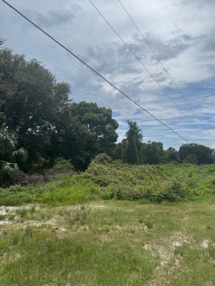 Expansive 10-acre parcel in an area of minimal flooding as FEMA Flood Zone maps state Wetland analysis done with results of no wetlands in the front 5 acres and attached to listing. Lot is on the Southwest Corner of Pell and Prideaux Rd.