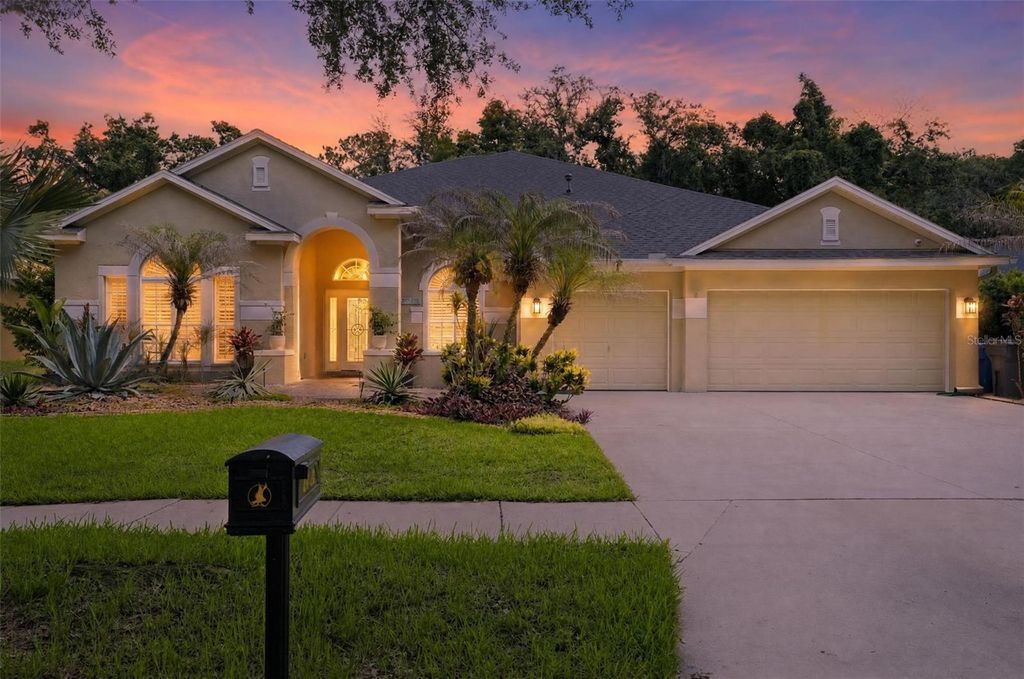 Photo of 15020 Eaglerise Drive, Lithia, FL 33547 (MLS # O6388549)