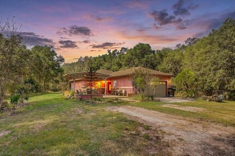 Photo of 4954 Ewell Road, Lakeland, FL 33811 (MLS # TB8506933)