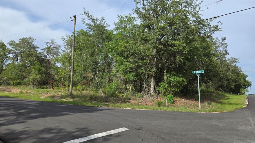 Beautiful treed CORNER vacant lot (Lot 160) measuring approximately 1 acre! Recently cleared of underbrush and scrubs, this beautiful treed lot is located in the Tanglewood development in the Hernando area of Citrus County, is high and dry, and located on an asphalt county road. Currently zoned LDR-MH you can build or have a mobile or manufactured home on the site per the County zoning regulations. Close to shopping, retail, and medical services and only about 15 minutes to beautiful and vibrant Downtown Inverness! Come enjoy that country setting and country feel yet close to everything! Home site is in walking distance to the Tsala Apopka Chain Of Lakes, and only about 20 minutes to Crystal River and 30 minutes to Homosassa and the Gulf! The adjacent Lot 159 (corner lot measuring approximately 1.17 acres) is also available for sale at $55,000. Or purchase both Lot 159 and Lot 160 together for a discounted sales price of $99,900! and have approximately 2.17 acres with the ability to have TWO adjacent homesites! This lot does have an older power pole on site, well and septic will be needed. Citrus County has lower impact fees and is a great area to call home! And NO HOA and NO CDD restrictions or fees! Call today!