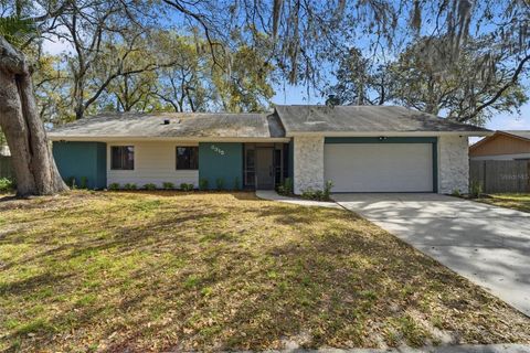 8315 CAMPHOR TREE DRIVE ORLANDO FL 32810