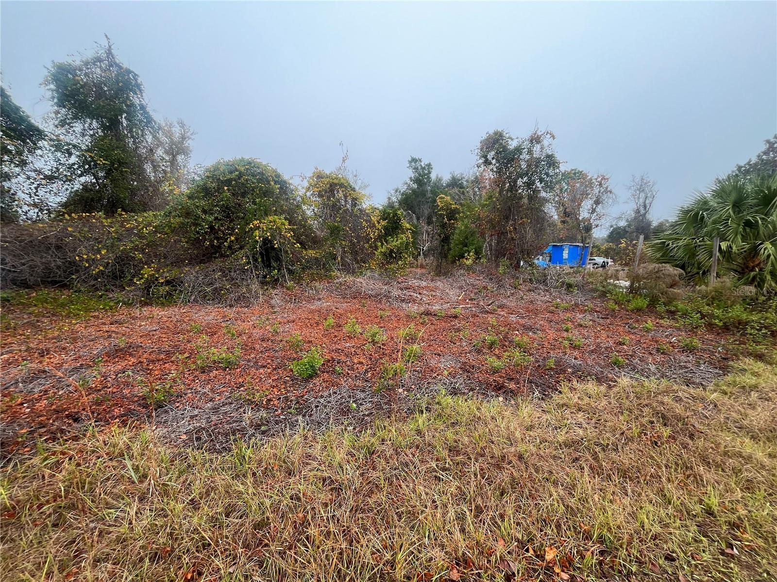 Discover the best of country living with this beautiful 0.23-acre lot in Georgetown! This property is mulched and semi-cleared, offering the perfect setting for your dream home, whether you choose to build or bring your home. Enjoy easy access to the St. Johns River Rod & Reel Club, a boat ramp, and a fishing pier on Lake George. Spend your days boating and fishing on the river and lake, or take a refreshing swim in the stunning Salt Springs Silver Glen Spring. Owner financing is available for this property. Come see it today!
