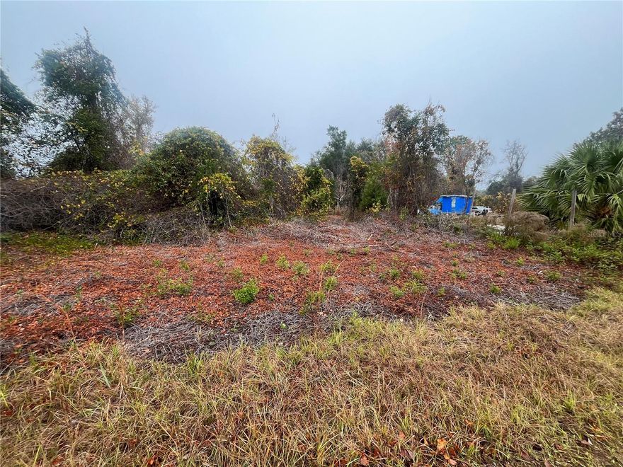 Owner financing available! Discover the best of country living with this beautiful 0.23-acre lot in Georgetown! This property is mulched and semi-cleared, offering the perfect setting for your dream home, whether you choose to build or bring your home. Enjoy easy access to the St. Johns River Rod & Reel Club, a boat ramp, and a fishing pier on Lake George. Spend your days boating and fishing on the river and lake, or take a refreshing swim in the stunning Salt Springs Silver Glen Spring. Owner financing is available for this property. Come see it today!
