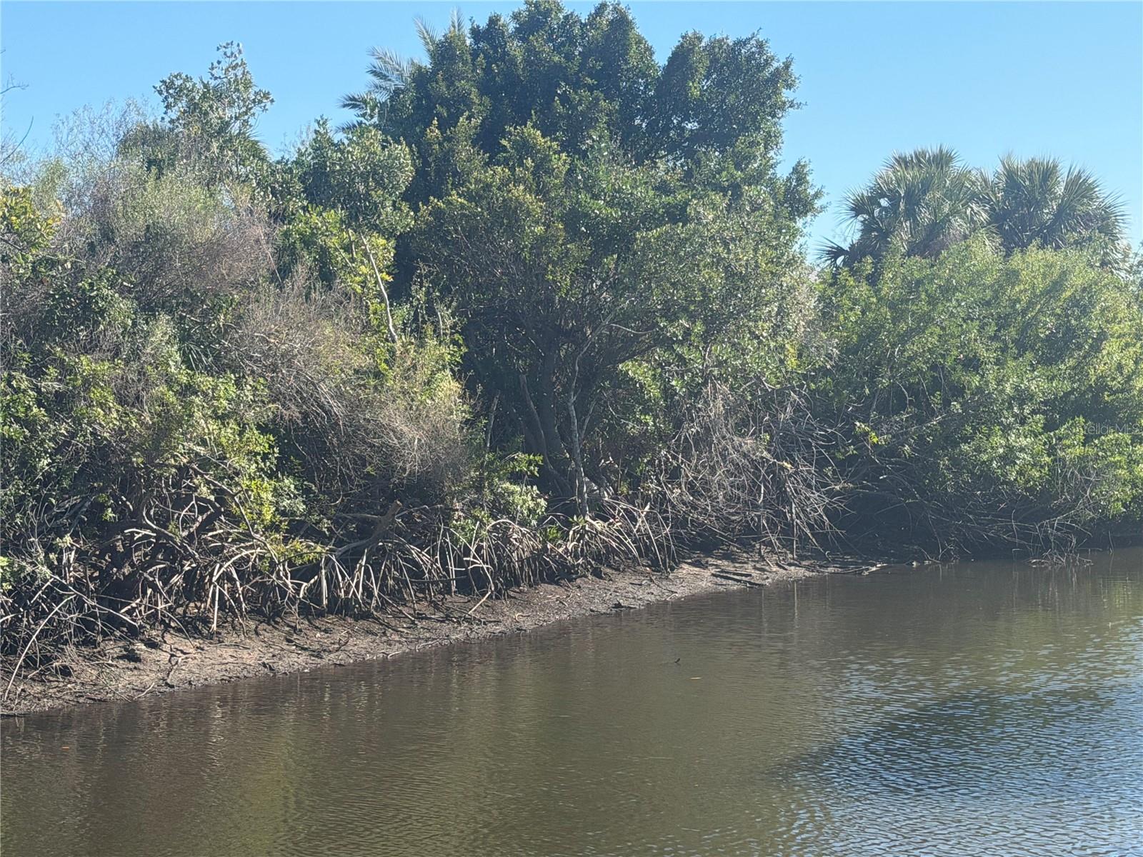 CHARLOTTE PARK - Land