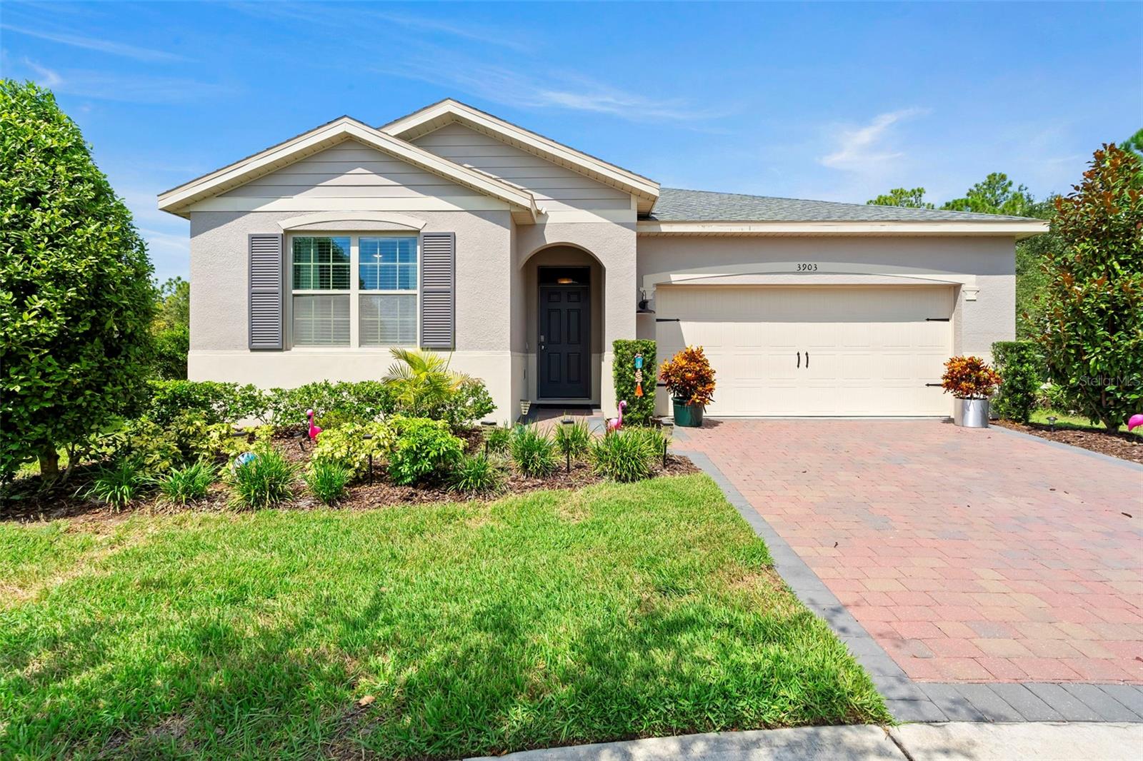 3903 WINGED ELM COURT