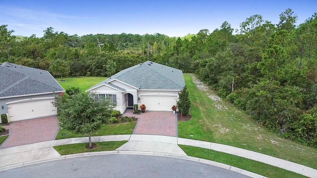 Photo of 3903 Winged Elm Court, Clermont, FL 34714 (MLS # O6338254)