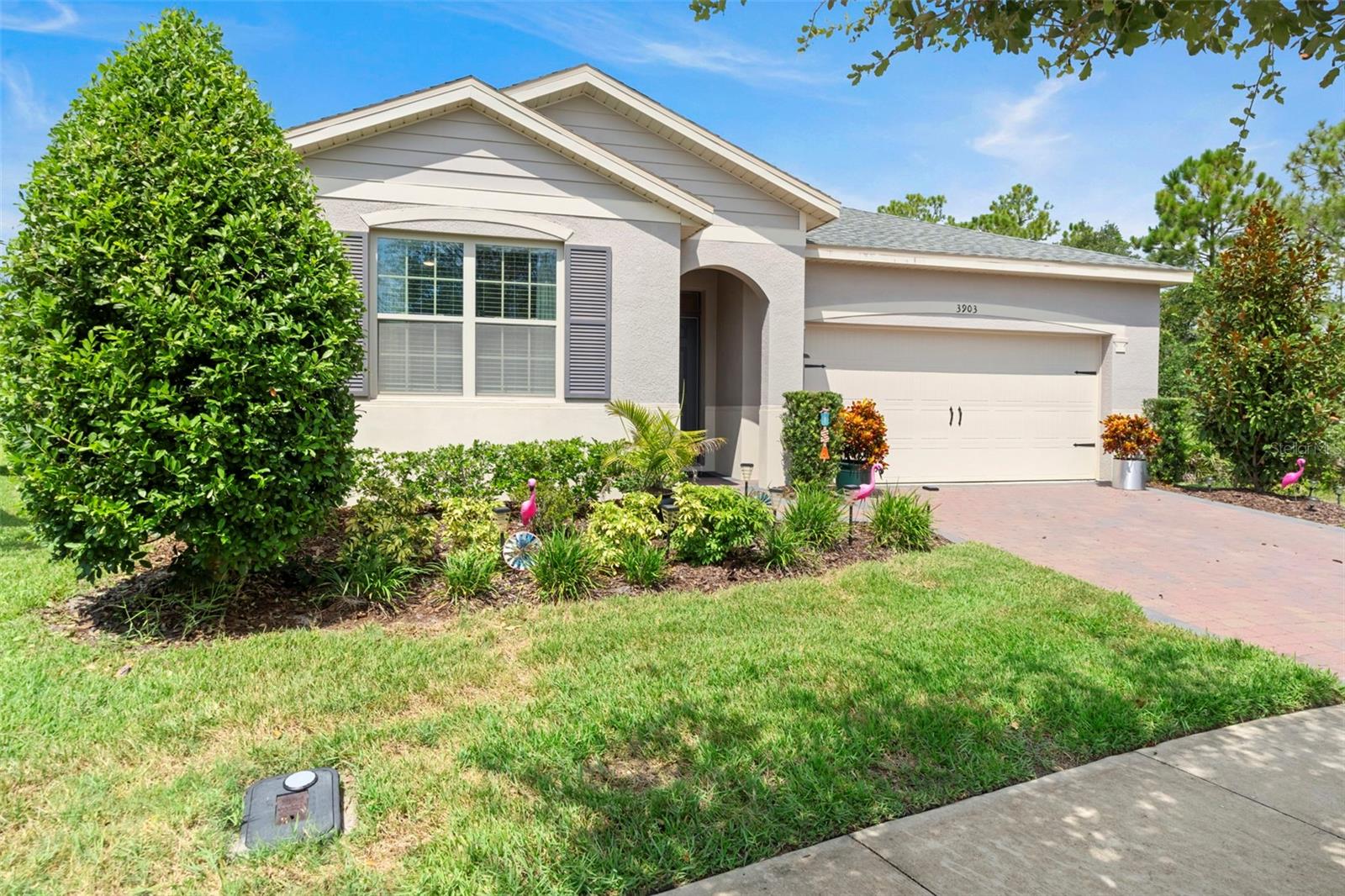 3903 WINGED ELM COURT