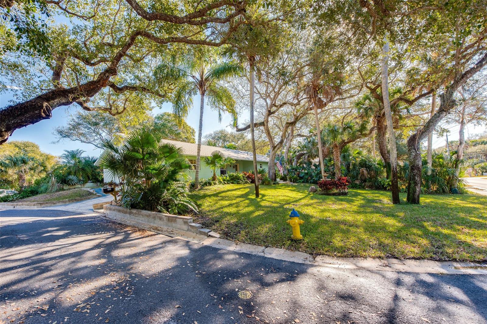 South Saxon - Residential