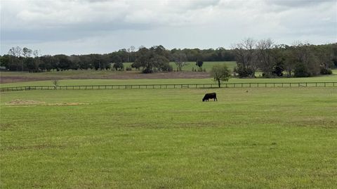 Tiny photo for 2700 SW 210th Avenue, Dunnellon, FL 34431 (MLS # OM721682)