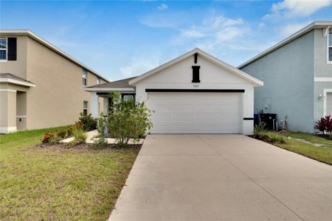 A home in WIMAUMA