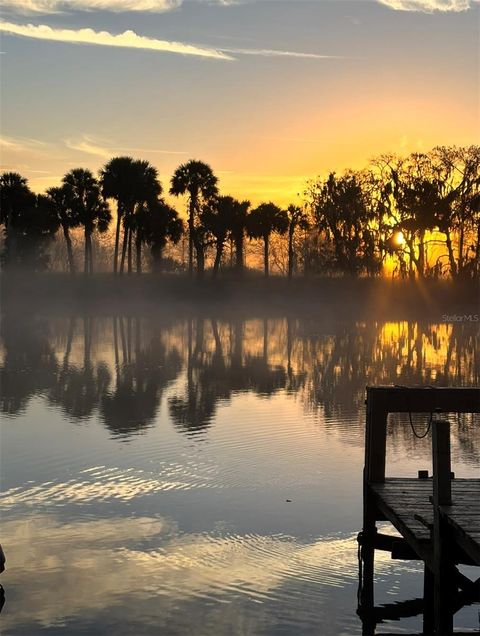 Photo of 1129 Lemon Bluff Road, Osteen, FL 32764 (MLS # O6387264)