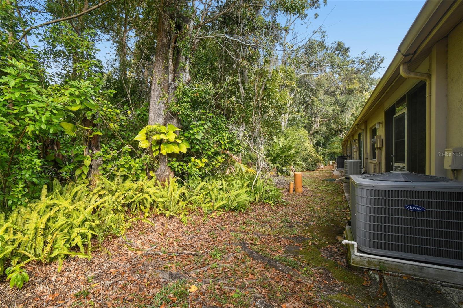 BRIAR PATCH - Residential