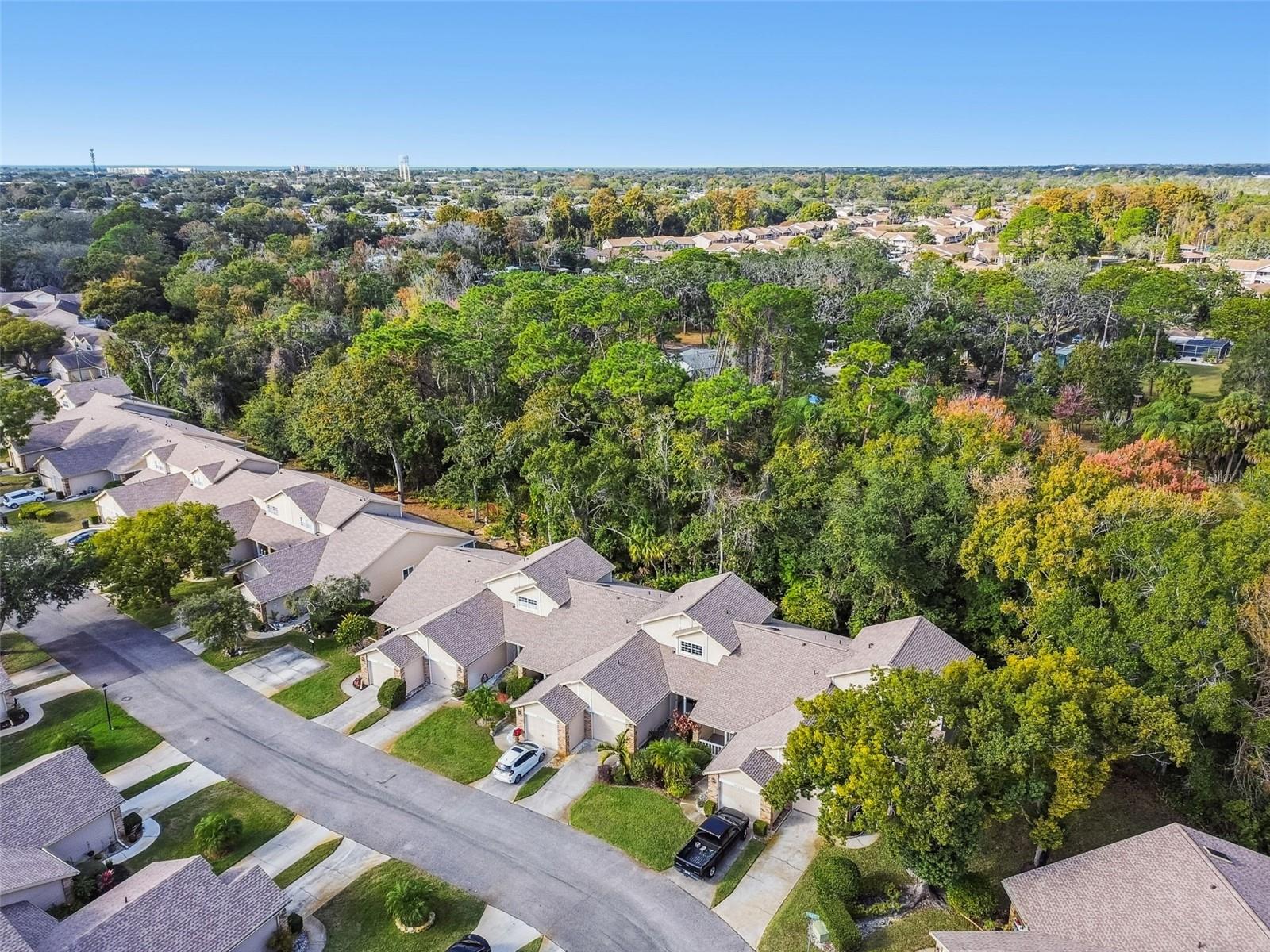 BRIAR PATCH - Residential