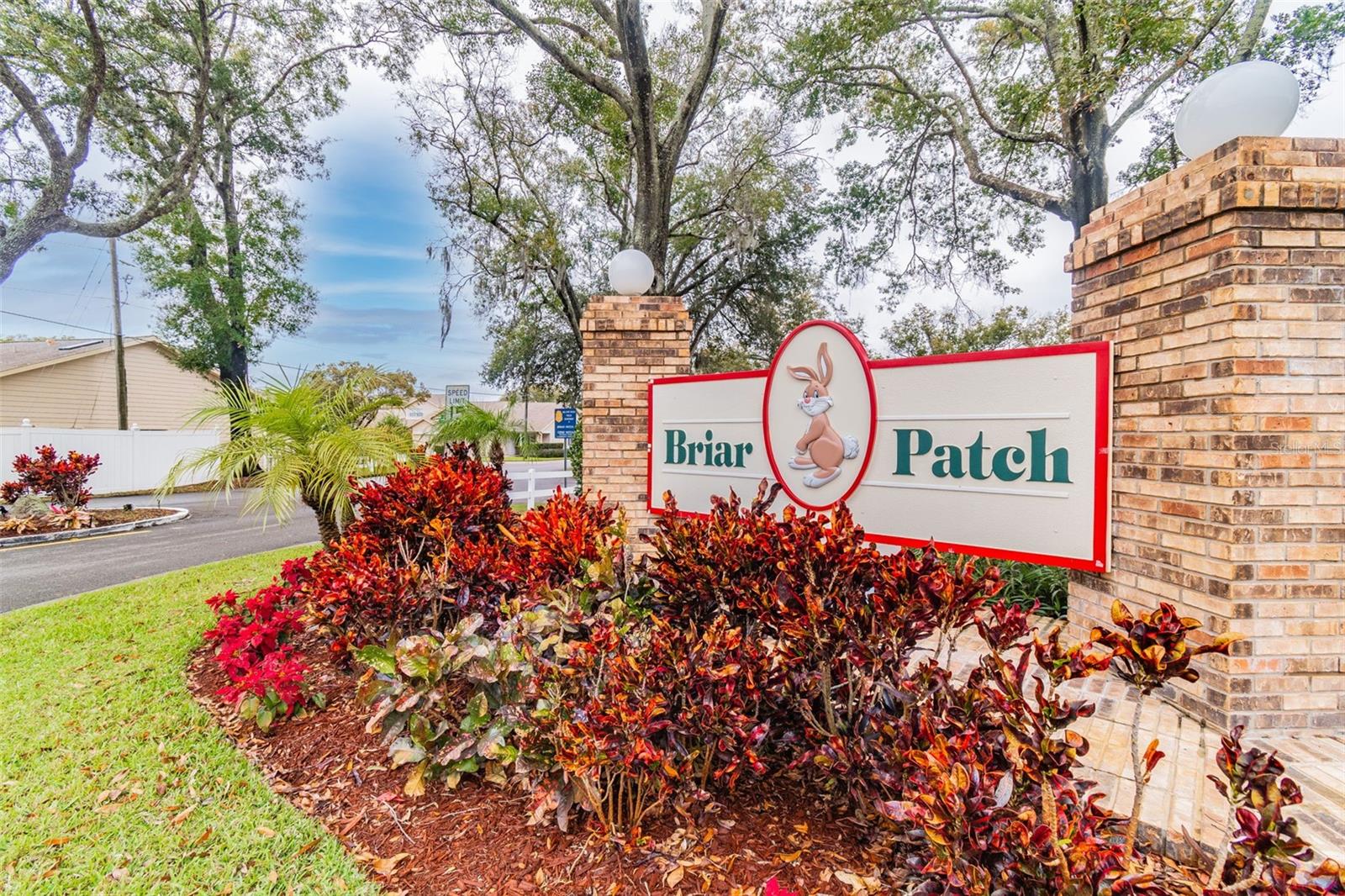 BRIAR PATCH - Residential