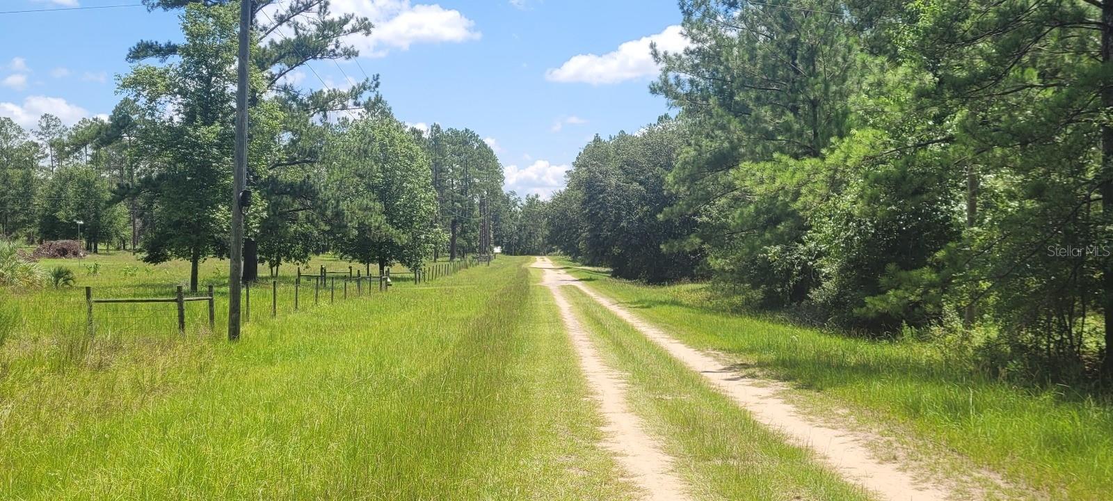 NE DIXON COURT