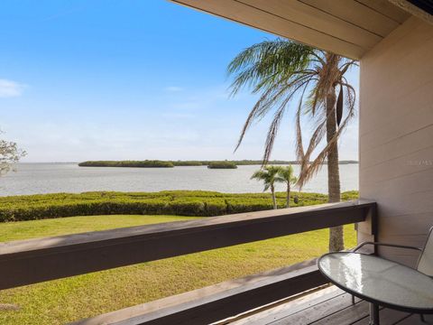 1111 N BAYSHORE BOULEVARD F6 CLEARWATER FL 33759