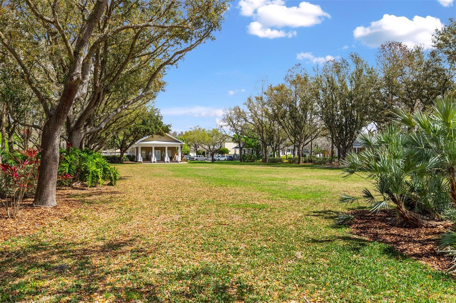 LONGLEAF PH 01 - Residential