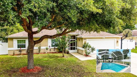 A home in PALM COAST