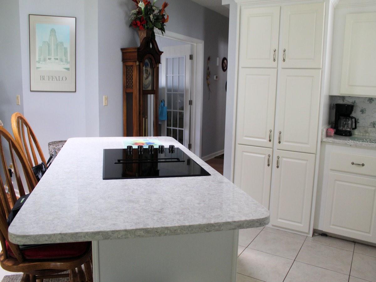 25 THATCH PALM STREET W