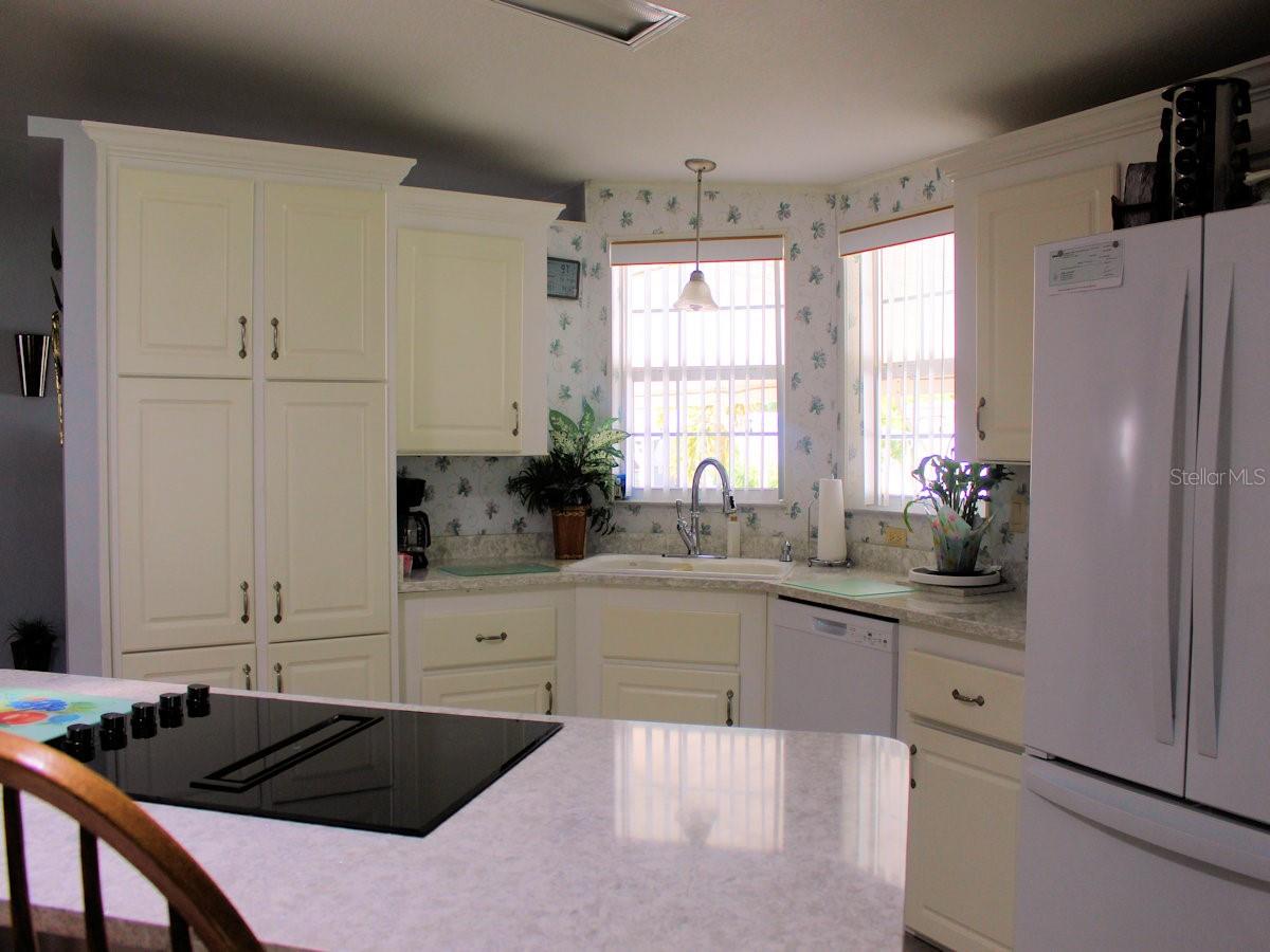 25 THATCH PALM STREET W