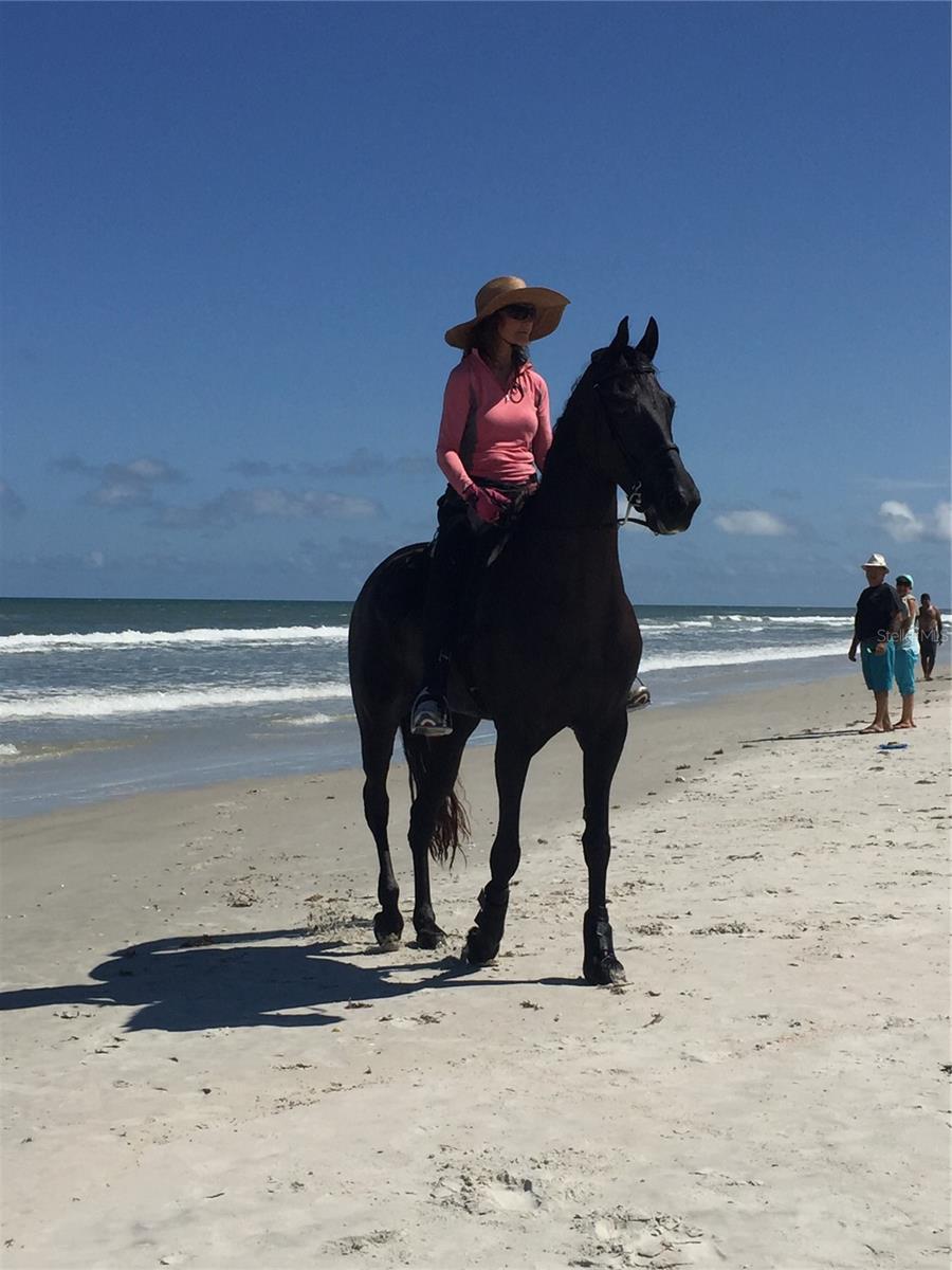 ARMAND BEACH EAST SUB - Land