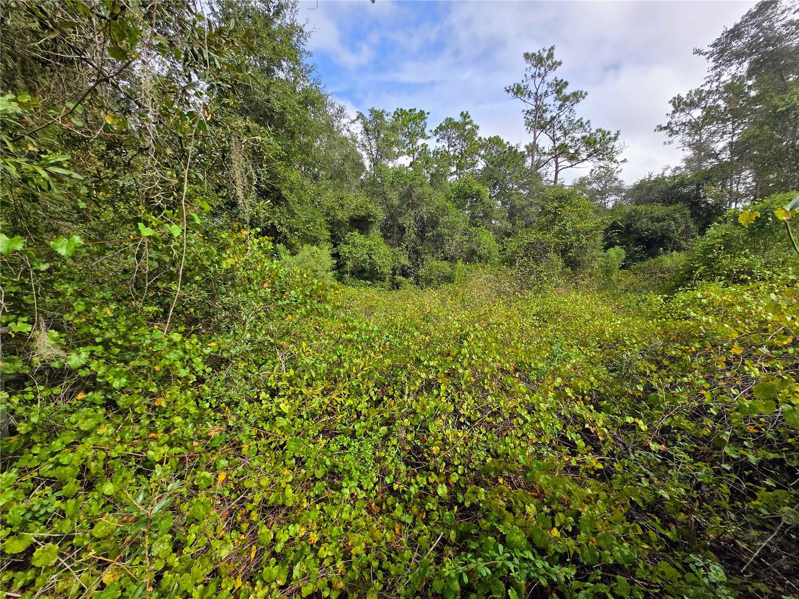 FLORIDA HIGHLANDS - Residential