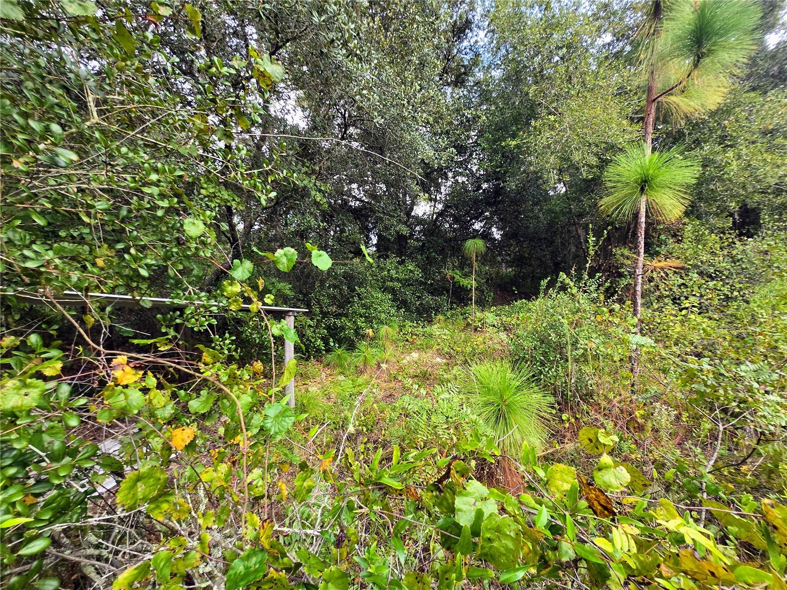FLORIDA HIGHLANDS - Residential