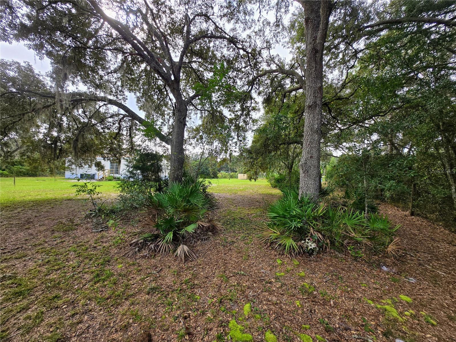 FLORIDA HIGHLANDS - Residential