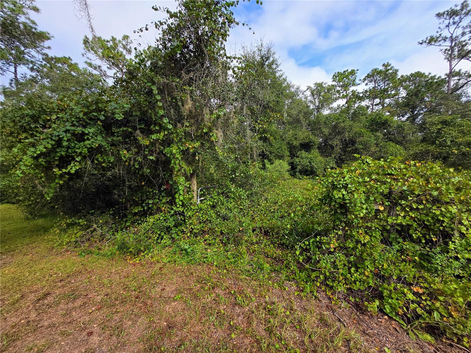 FLORIDA HIGHLANDS - Residential