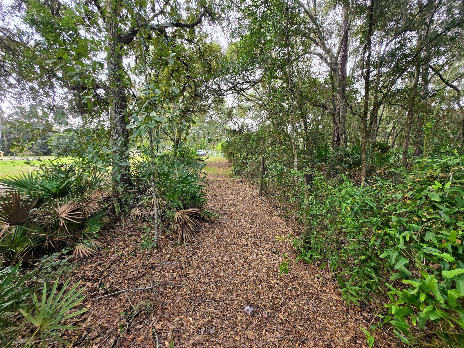 FLORIDA HIGHLANDS - Residential