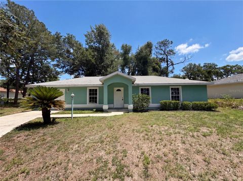 Photo of 53 Pecan Run Drive, Ocala, FL 34472 (MLS # O6409775)