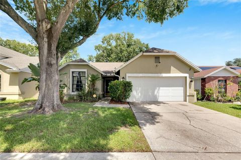 A home in RIVERVIEW