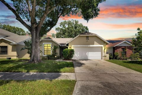 A home in RIVERVIEW