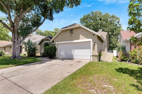 A home in RIVERVIEW