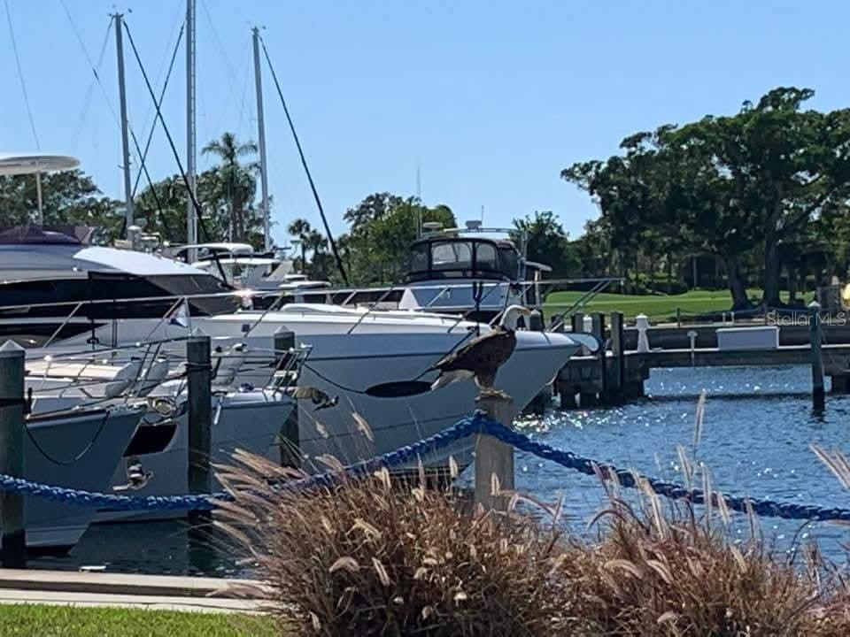 LONGBOAT KEY MOORINGS MARINA - Residential