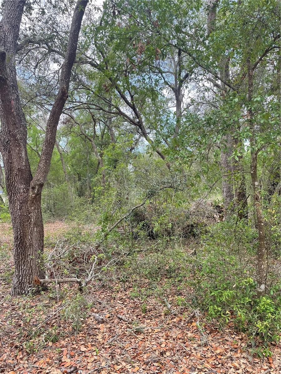 Exceptional Opportunity to Build in Scenic Lady Lake! Embrace the serenity of Carlton Village Park with this spacious 82' x 120' buildable lot. An ideal setting to design the home you’ve always imagined. Located in a quiet, established community, this parcel offers the perfect blend of peaceful living and everyday convenience. Just minutes away, Clear Lake provides the perfect backdrop for outdoor enjoyment—spend your days fishing, kayaking, or relaxing with a lakeside picnic. Whether you're planning a primary residence or a seasonal retreat, this property invites you to create something truly special. Come explore the possibilities—schedule your showing today and take the first step toward bringing your vision to life.